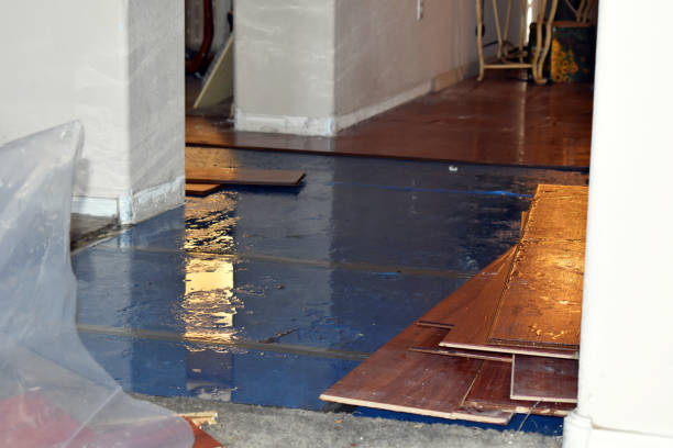 Professional Sewage Cleanup technician working in Leicester, MA